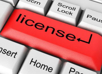 Online Casino License