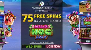 Wild Hog Luau online slots for real money