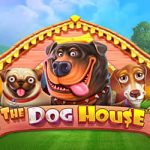 The dog house slot