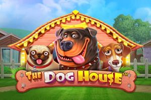 The dog house slot