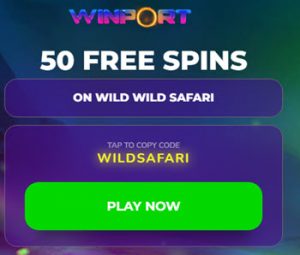 Winport casino